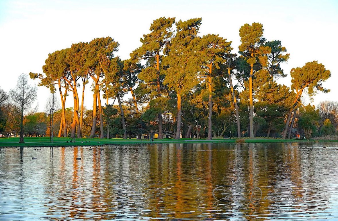 2026 Christchurch Scenery Unique Calendar