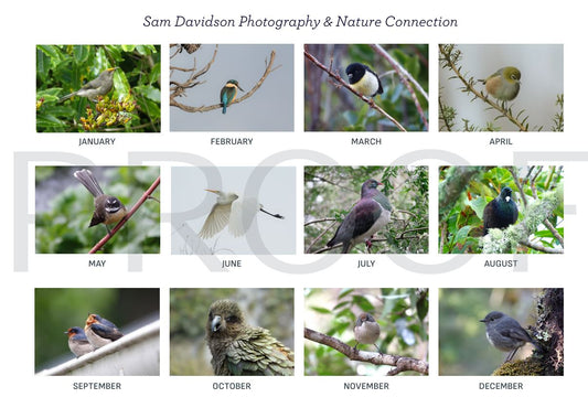 2026 Birds of New Zealand Calendar
