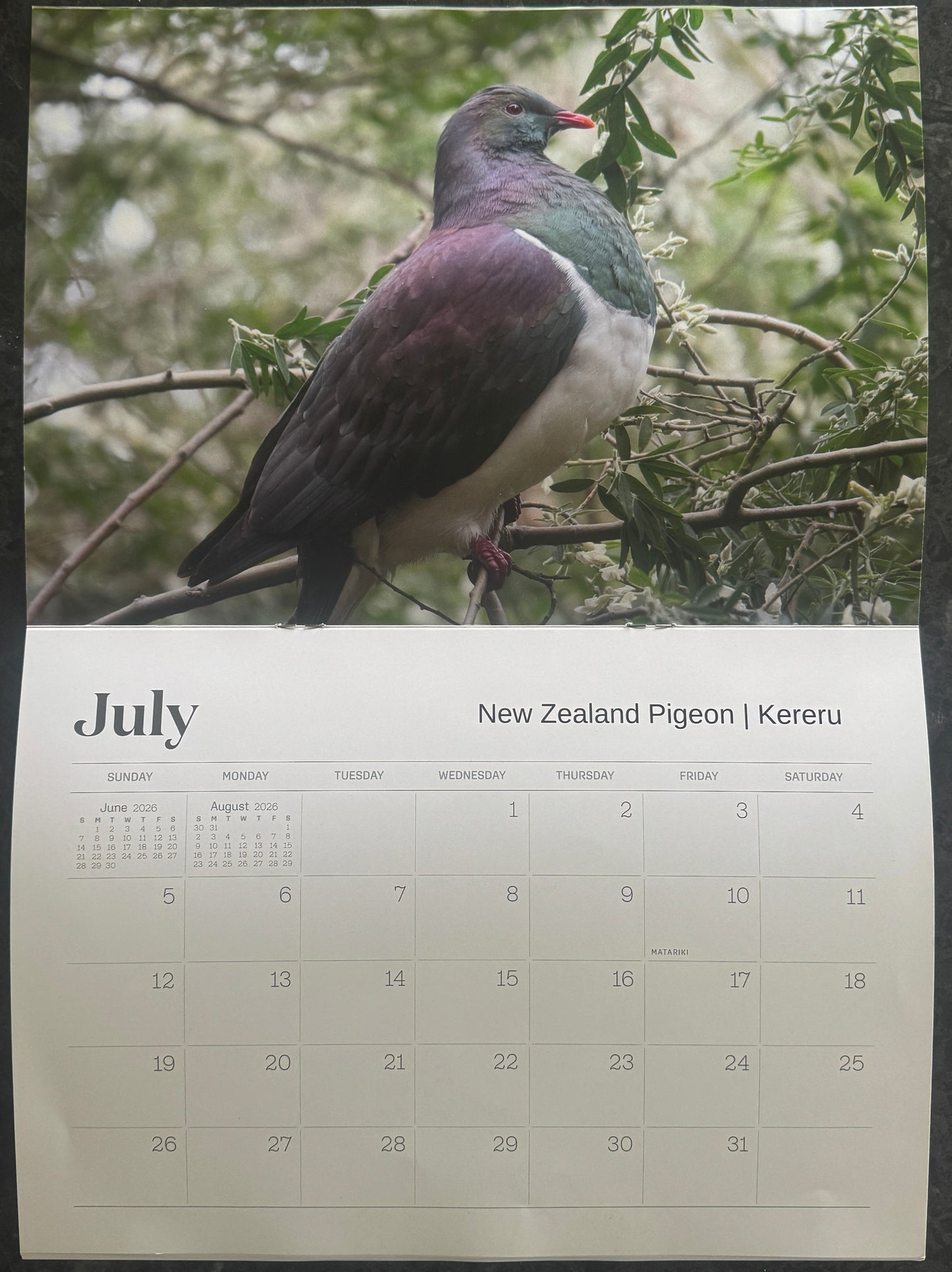 2026 Birds of New Zealand Calendar