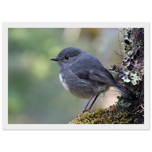 cfe70a5a-30a3-4bee-8e04-93f8f33e5e90