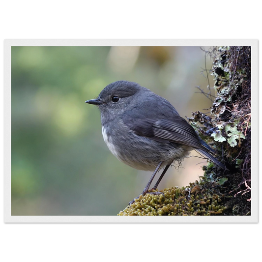 1a19f888-7915-492c-a777-4c51f165ebfc