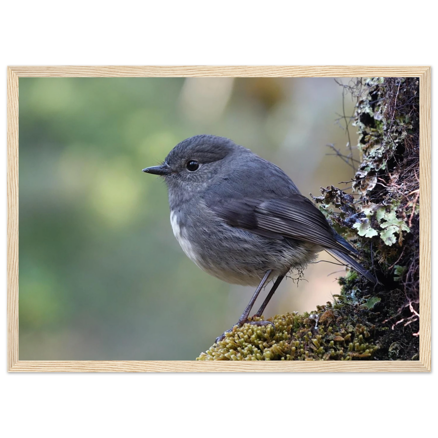 30eecae2-c6e5-4449-a2d3-6bc28faa4c10