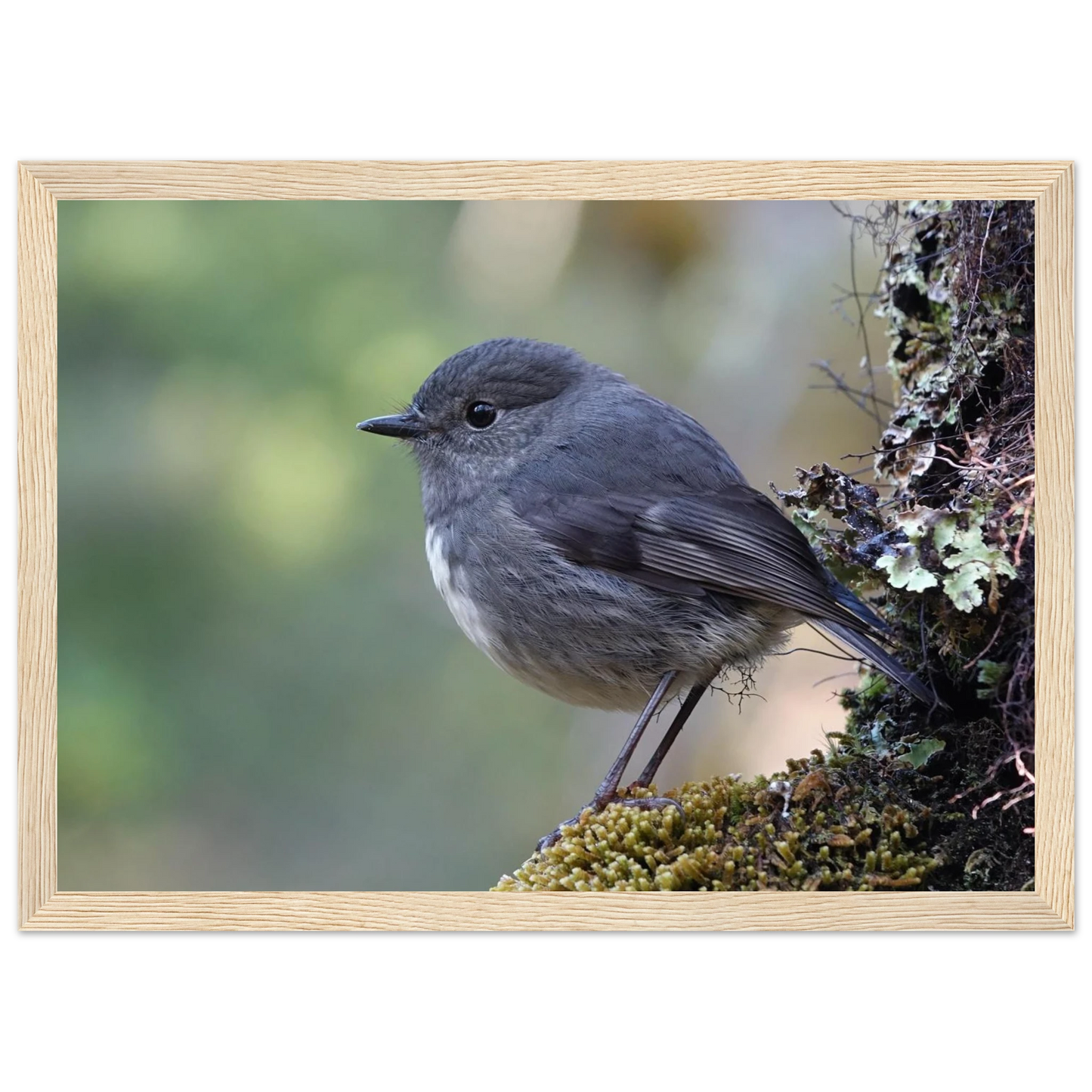 b6038833-9649-4dbf-9f9f-34c33c1ff499