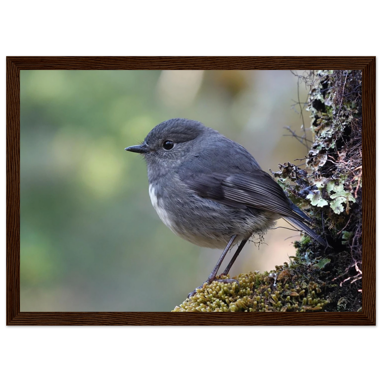 b6fc9bc8-807e-452b-98d4-d131fb9e1839