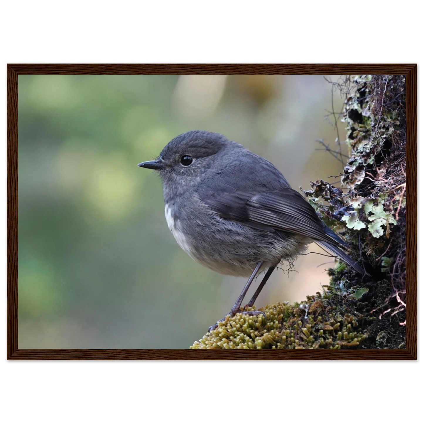 fbc15174-786d-4ee6-90e9-dcddaecf6e46