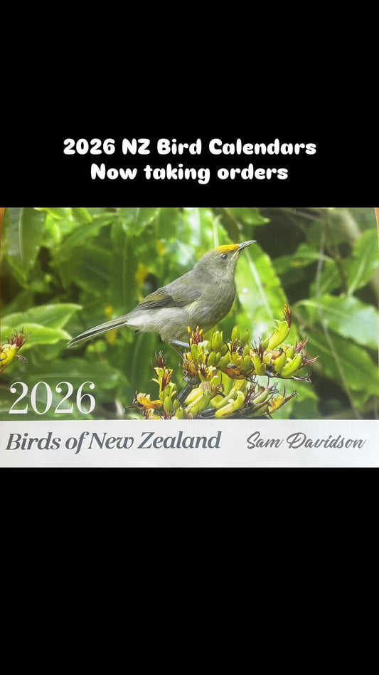2026 Birds of New Zealand Calendar